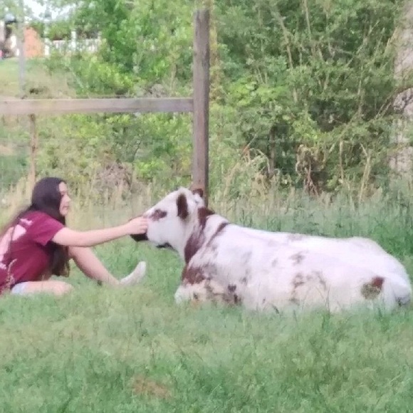 Meet your Posher, Rebecca - Picture 12 of 16